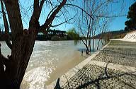 lungotevere2